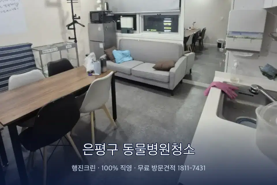 은평구 동물병원청소 병원 휴게 공간 의자 소독