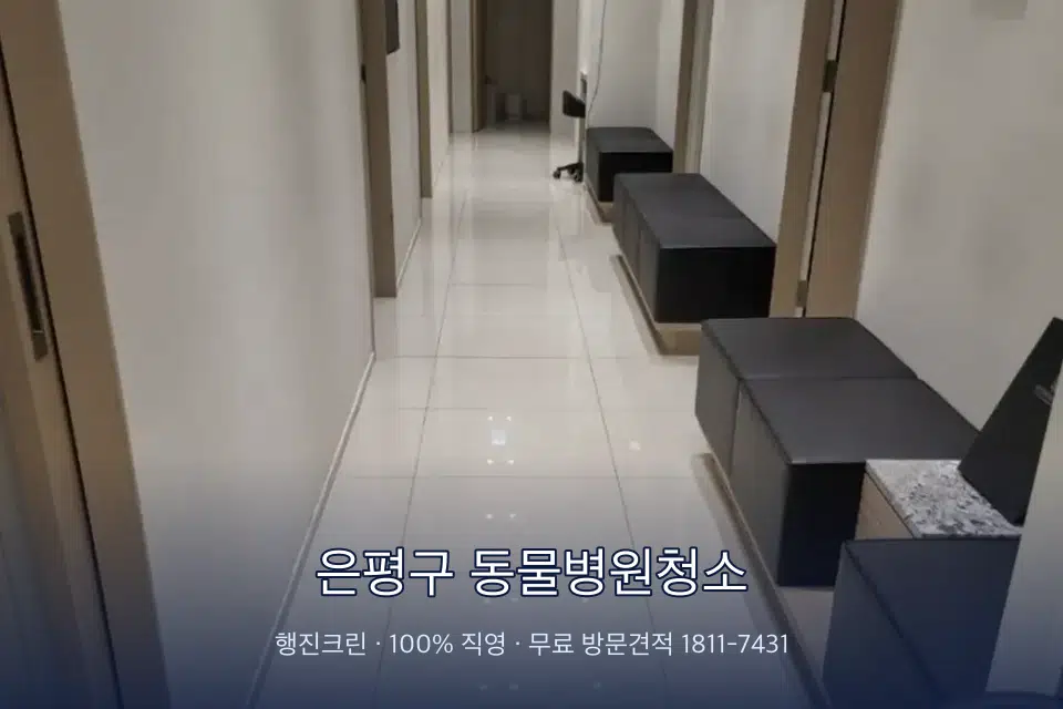 은평구 동물병원청소 병원 복도 바닥을 닦는 청소 작업자